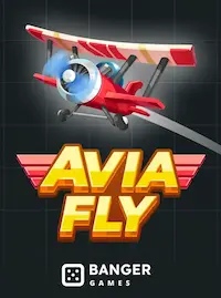 Avia Fly crash at PKJL COM